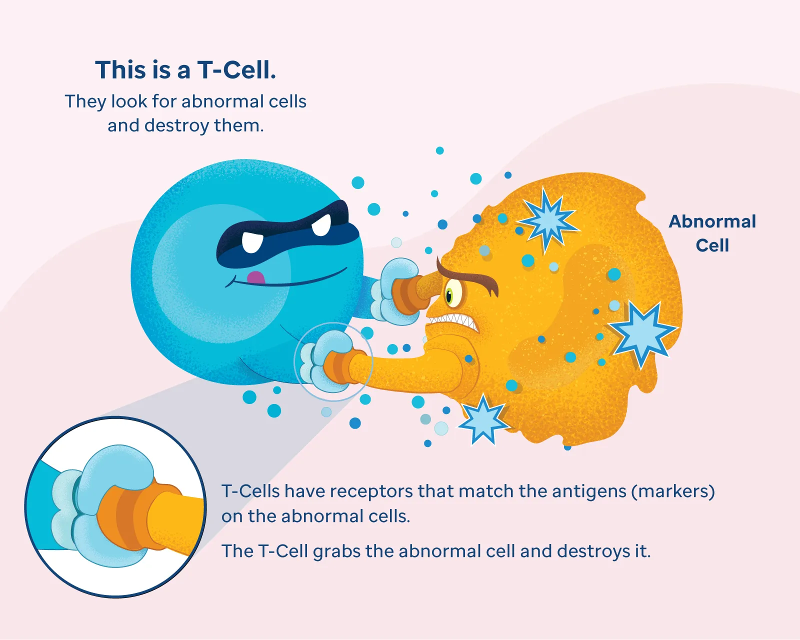 CAR T-Cell Therapy hero