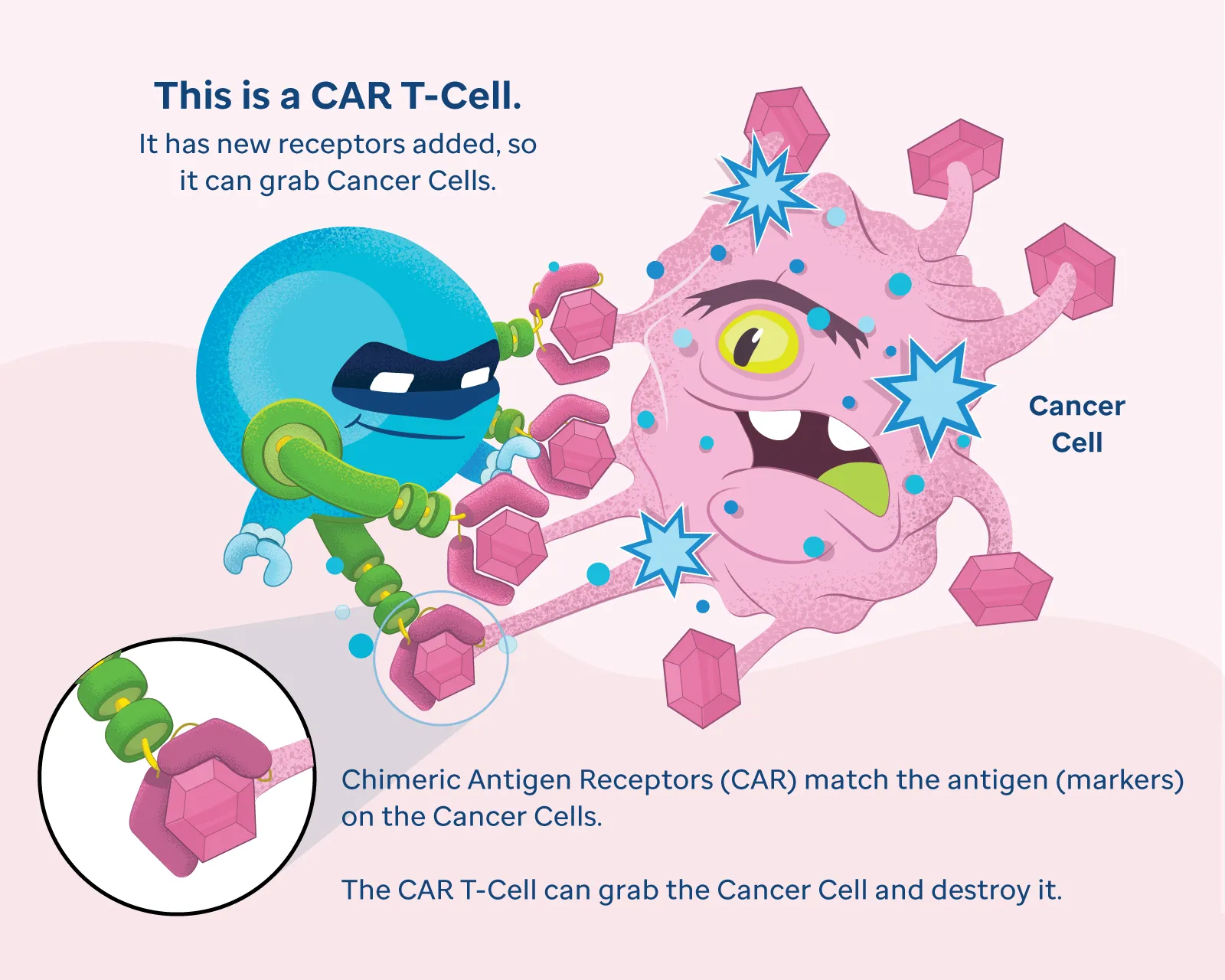 CAR T-Cell Therapy hero