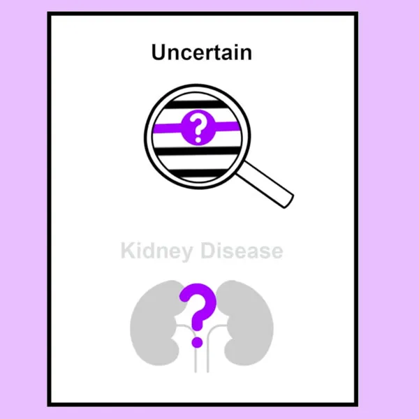 Chronic Kidney Disease hero