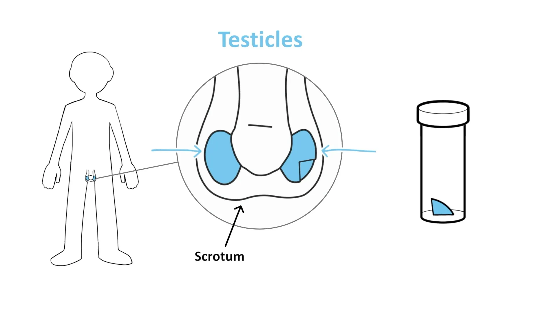 Fertility Preservation hero