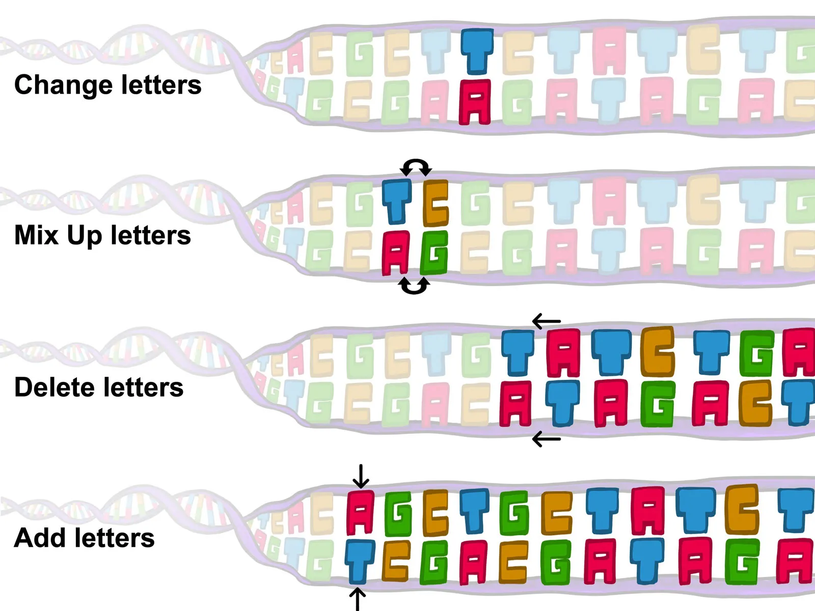 Exome Sequencing Course hero