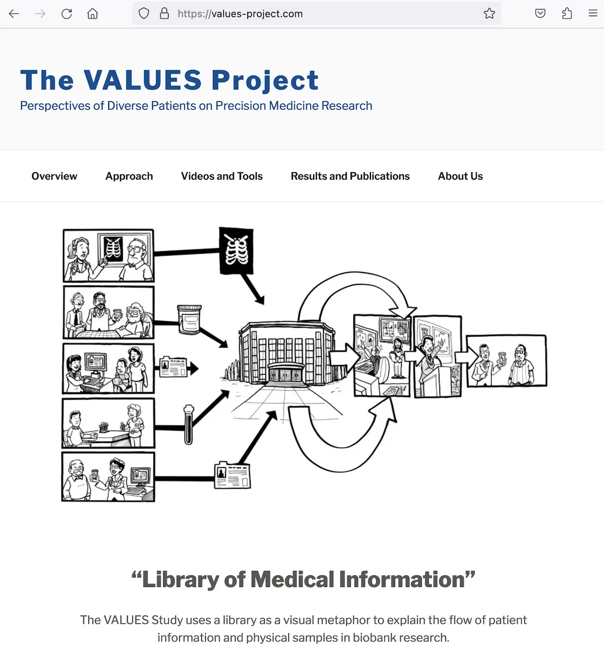 The VALUES Project hero