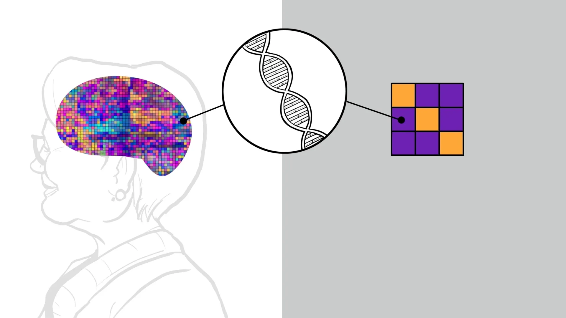 What are brain organoids? hero