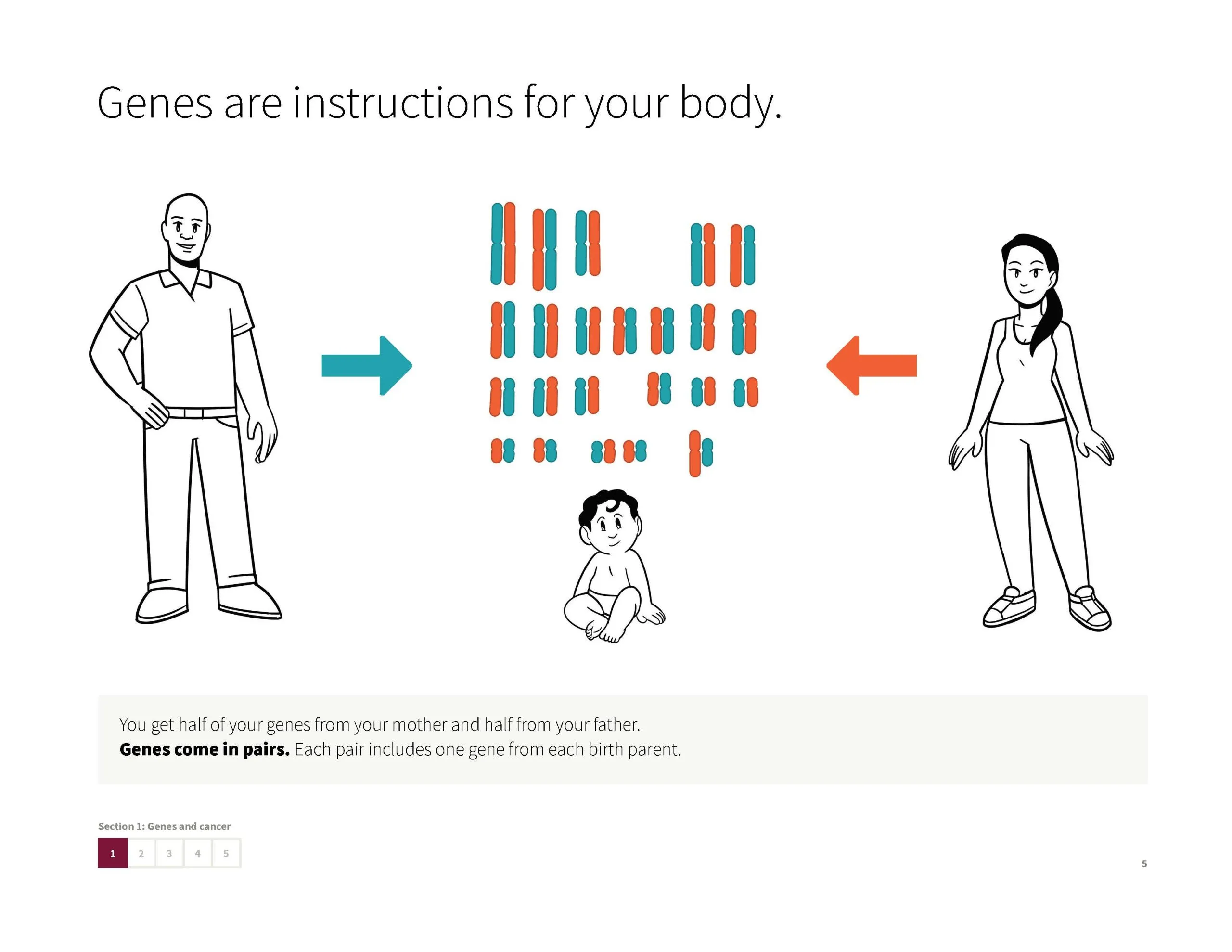 Your Guide to Hereditary Cancer hero