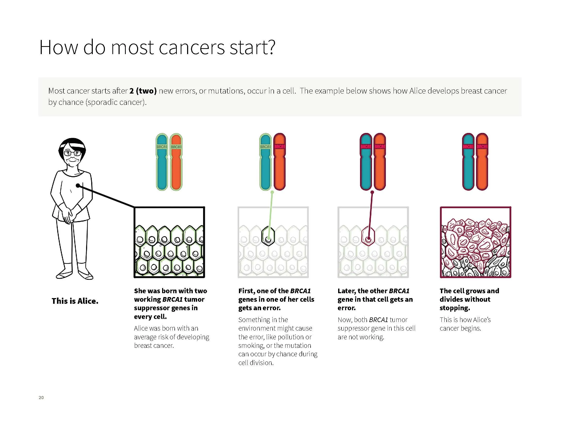 Your Guide to Hereditary Cancer hero